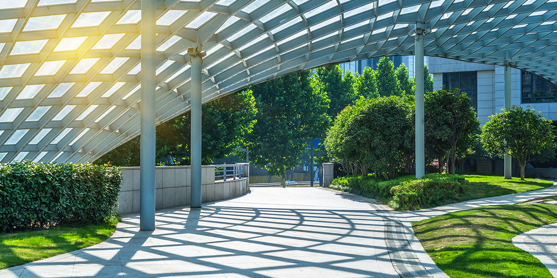 Plants improve mental health