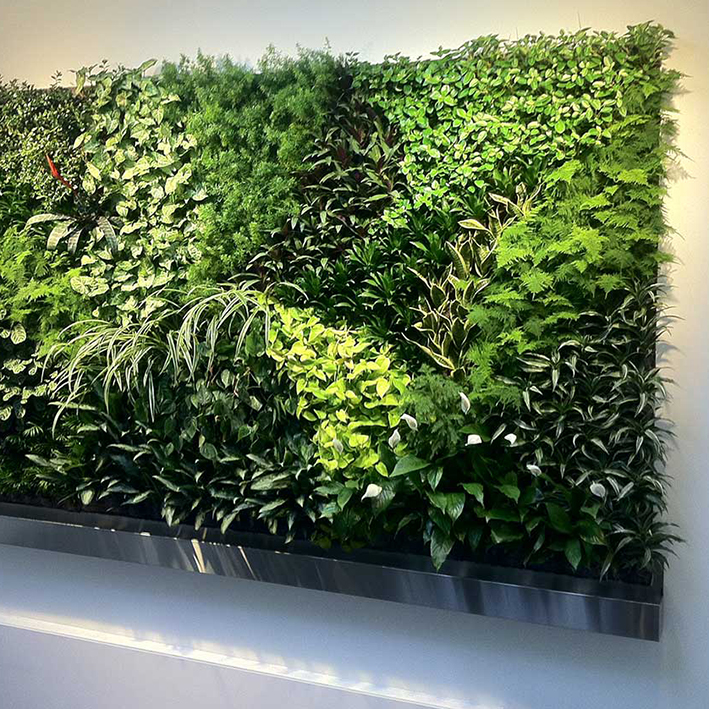 Living wall in office common area