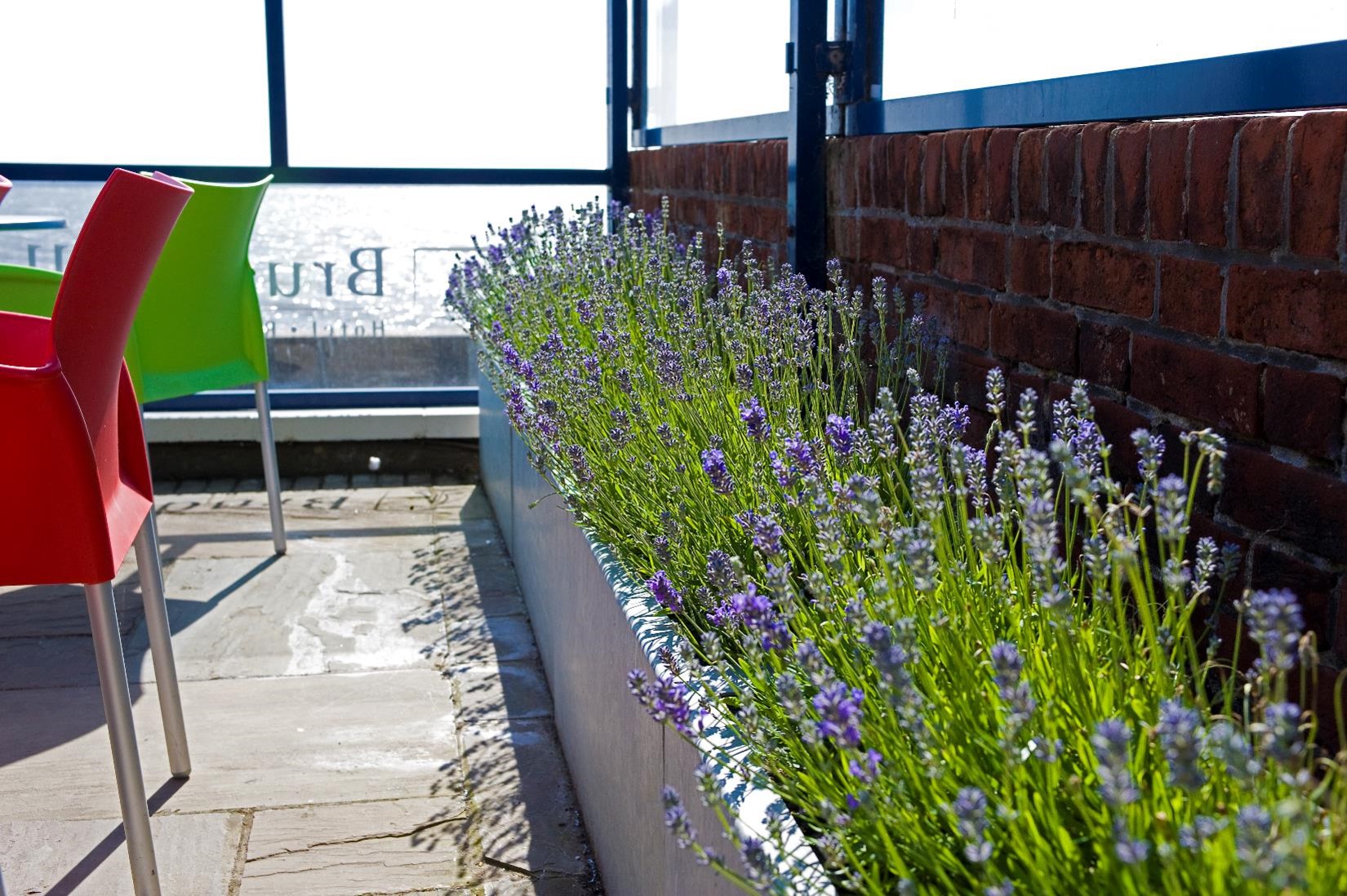 Living walls, Moss Walls, Plant Hire, Office Plants, Indoor Plants, Outdoor Plants, Foliage Rental, Real Plants, Artificial Plants, Roof Garden