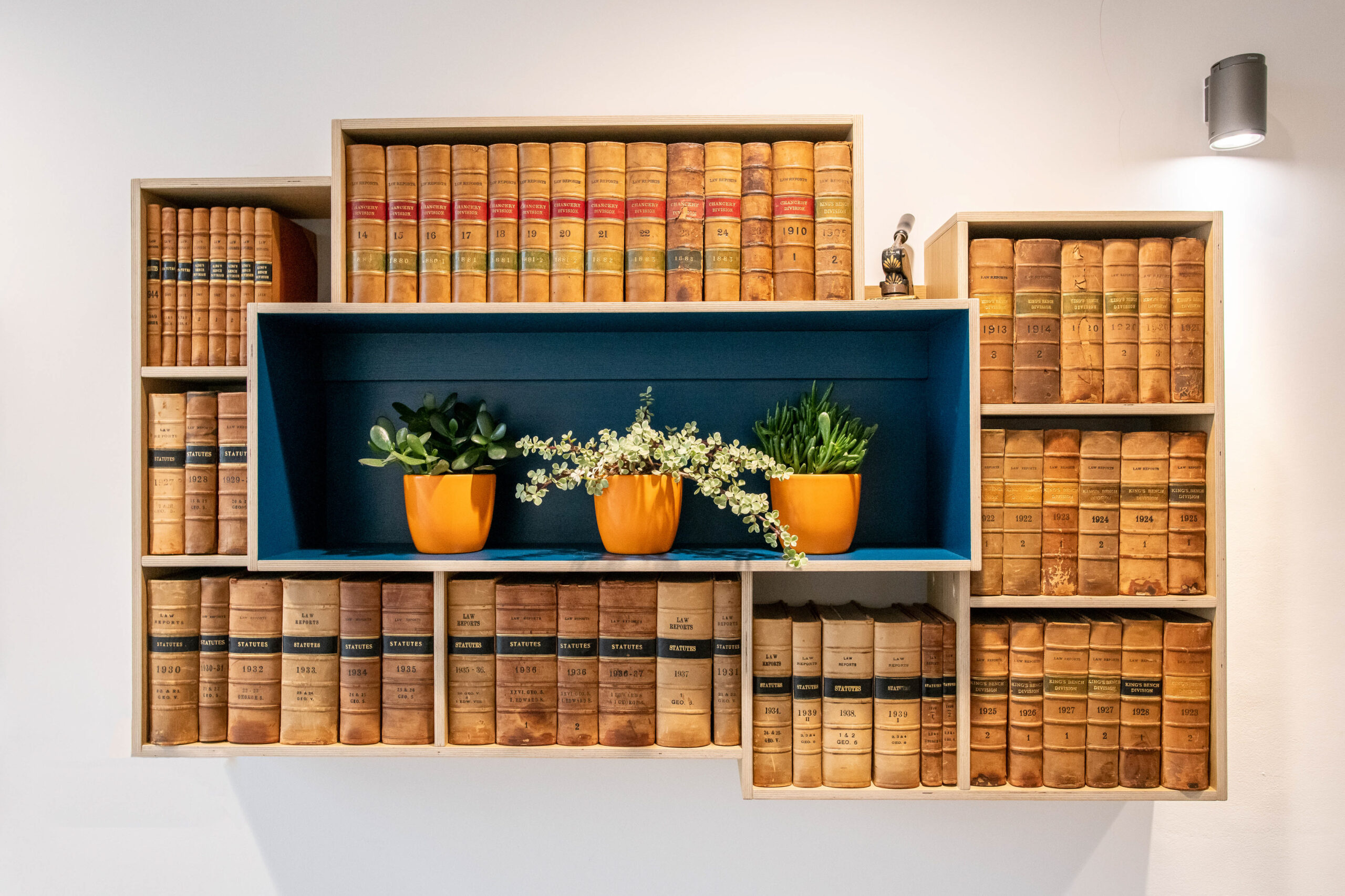 Bookshelf with plants inside
