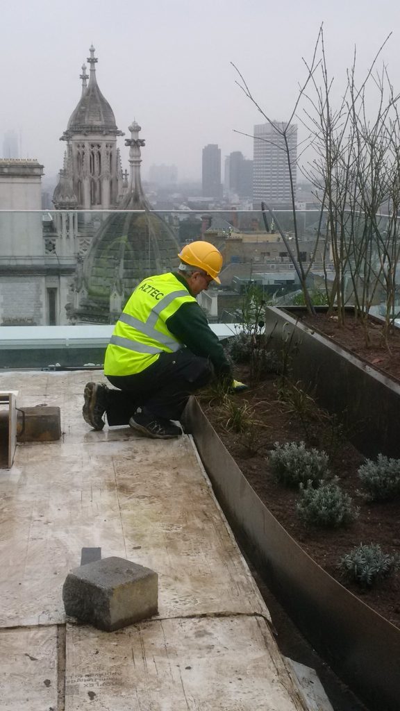 Chancery Lane, London Outdoor renovations in progress