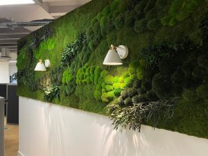 office moss walls
