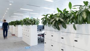 Discover Aztec Plants – Your go-to for office plant hire, maintenance, and bespoke plant solutions in the UK. Enhance your workspace today.