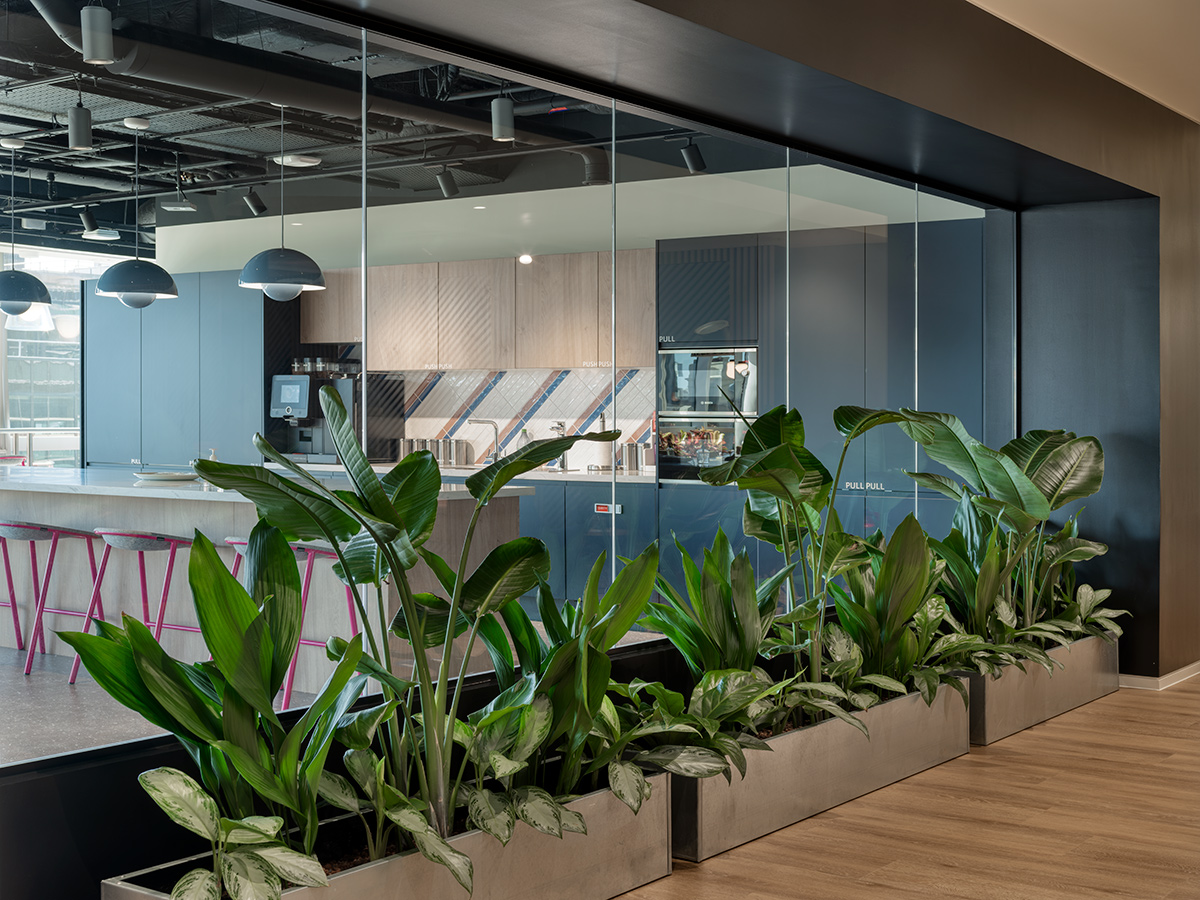 Discover Aztec Plants – Your go-to for office plant hire, maintenance, and bespoke plant solutions in the UK. Enhance your workspace today.