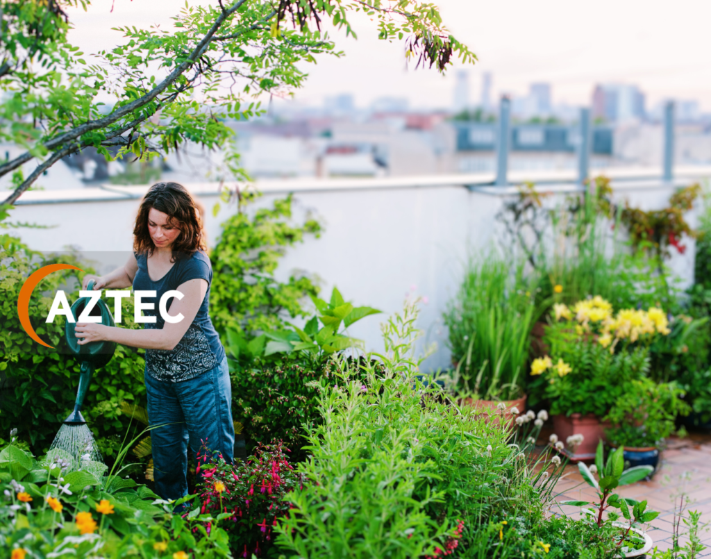 The Benefits of Rooftop Gardens in Urban Environments Aztec Plants
