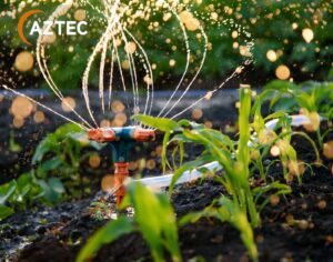 Efficient irrigation methods tailored to plant needs and seasonal changes are crucial for optimal growth and water conservation in gardens.