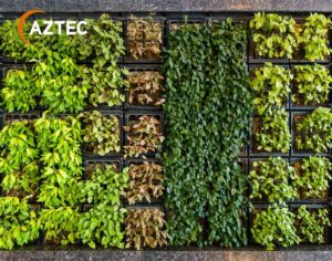 Vertical gardening maximizes space, enhances aesthetics, improves air quality, and boosts efficiency, making it ideal for urban areas and small outdoor spaces.