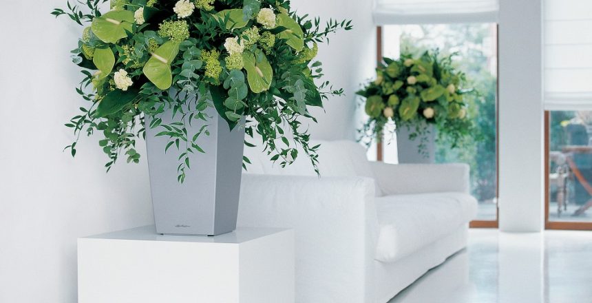 Flowers for waiting rooms