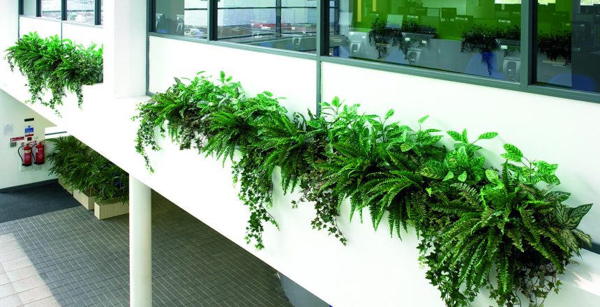 Quality Artificial Plants Hire - London