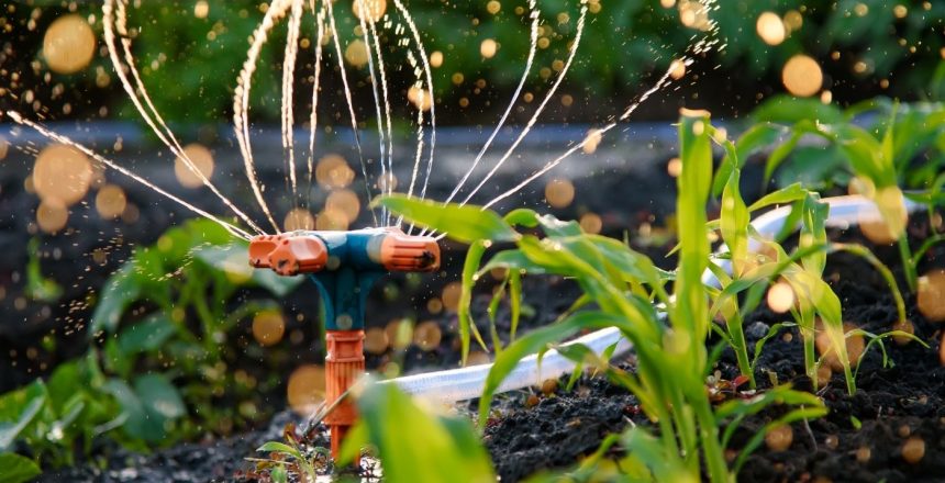 Efficient irrigation methods tailored to plant needs and seasonal changes are crucial for optimal growth and water conservation in gardens.