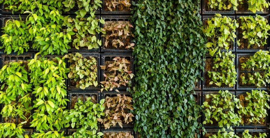 Vertical gardening maximizes space, enhances aesthetics, improves air quality, and boosts efficiency, making it ideal for urban areas and small outdoor spaces.