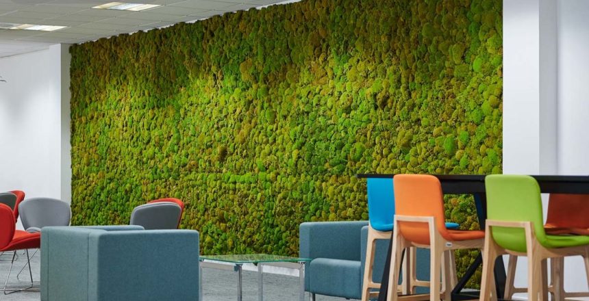 Moss Walls in London Offices with Aztec Plants