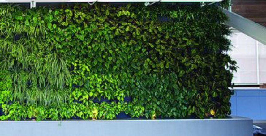 Discover essential tips and professional services for Living Wall Maintenance in London's urban landscapes. Keep your green wonders thriving!