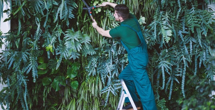 Vertical gardening maximises space, enhances aesthetics, improves air quality, and boosts efficiency, making it ideal for urban areas and small outdoor spaces.