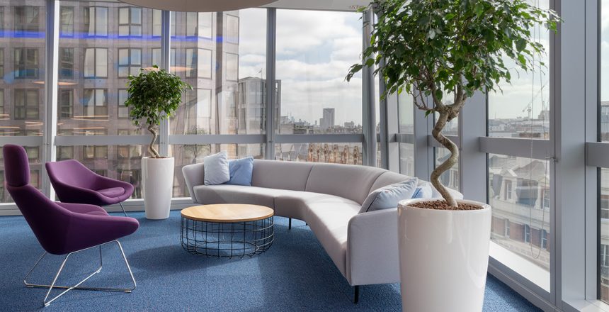 Sustainability and Office Living Plants: A Guide to Creating a Sustainable Workspace