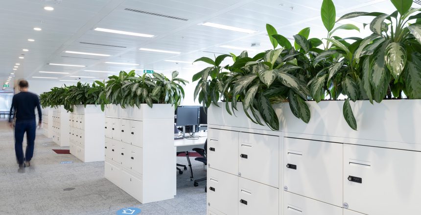 Discover Aztec Plants – Your go-to for office plant hire, maintenance, and bespoke plant solutions in the UK. Enhance your workspace today.