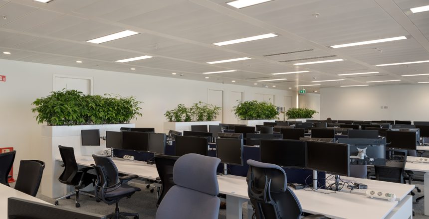 Office plants hire in London