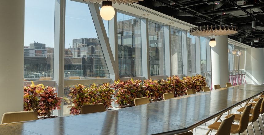 Sustainable Office Greenery