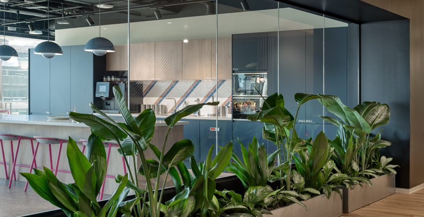 Discover Aztec Plants – Your go-to for office plant hire, maintenance, and bespoke plant solutions in the UK. Enhance your workspace today.