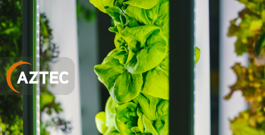 Discover Aztec Plants – Your go-to for office plant hire, maintenance, and bespoke plant solutions in the UK. Enhance your workspace today.