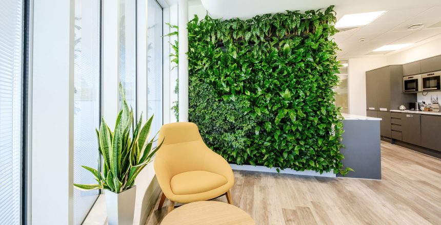 Discover Aztec Plants – Your go-to for office plant hire, maintenance, and bespoke plant solutions in the UK. Enhance your workspace today.