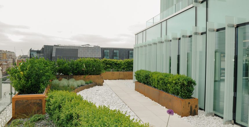 Chancery Lane, London finished rooftop live plant renovations 3