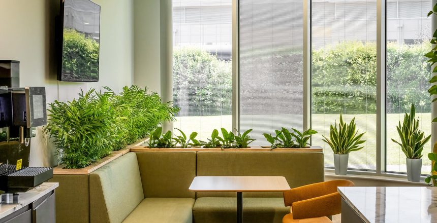 Discover Aztec Plants – Your go-to for office plant hire, maintenance, and bespoke plant solutions in the UK. Enhance your workspace today.
