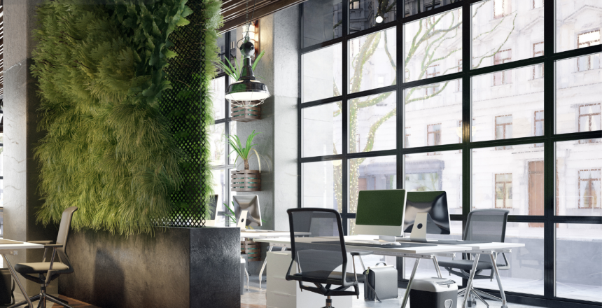 Enhance-Workplace-Productivity-with-Plants, Aztec Plants, Plant hire