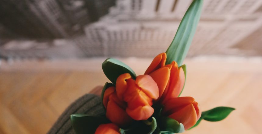 Flowers in workplace