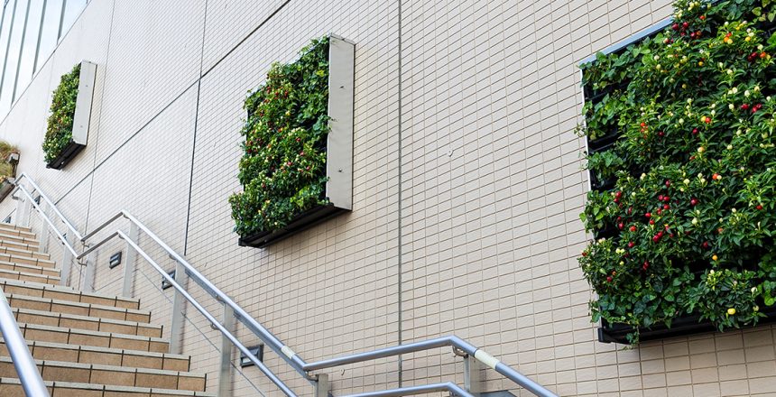 living walls by aztec