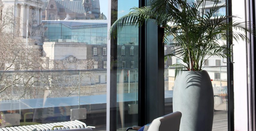 Discover Aztec Plants – Your go-to for office plant hire, maintenance, and bespoke plant solutions in the UK. Enhance your workspace today.
