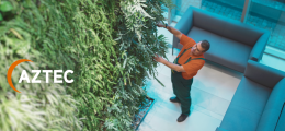 Discover Aztec Plants – Your go-to for office plant hire, maintenance, and bespoke plant solutions in the UK. Enhance your workspace today.