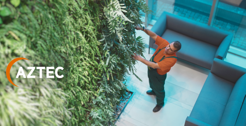 Discover Aztec Plants – Your go-to for office plant hire, maintenance, and bespoke plant solutions in the UK. Enhance your workspace today.