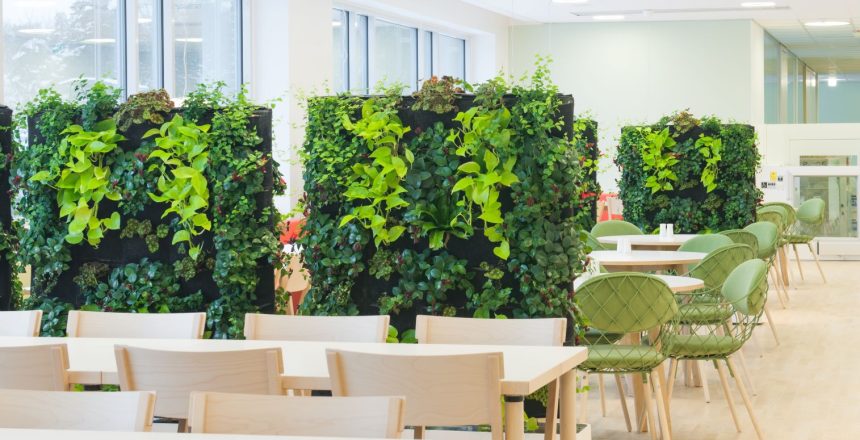 Living walls, Moss Walls, Plant Hire, Office Plants, Indoor Plants, Outdoor Plants, Foliage Rental, Real Plants, Artificial Plants