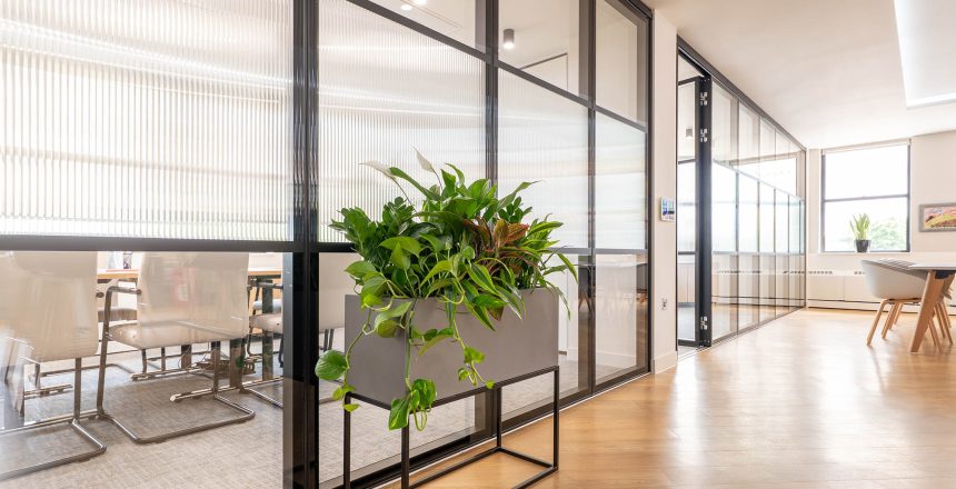 Indoor Office Plants