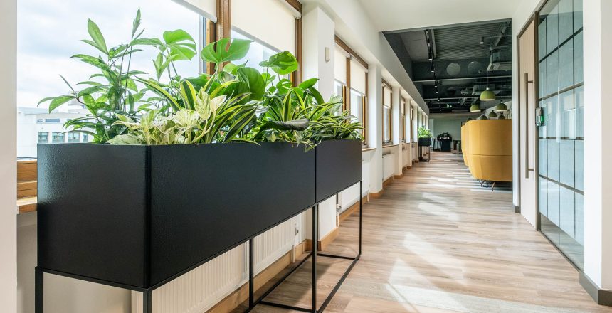 Office Living Plant Hire