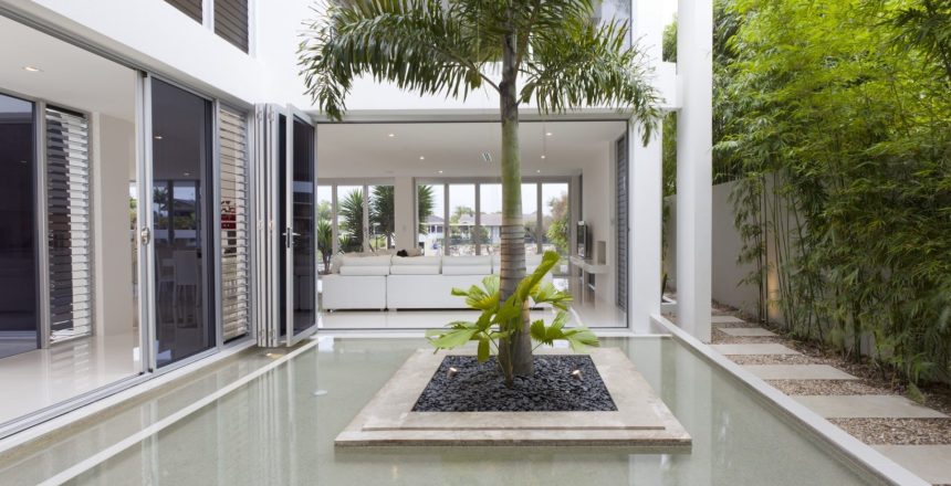 Plants in an atrium