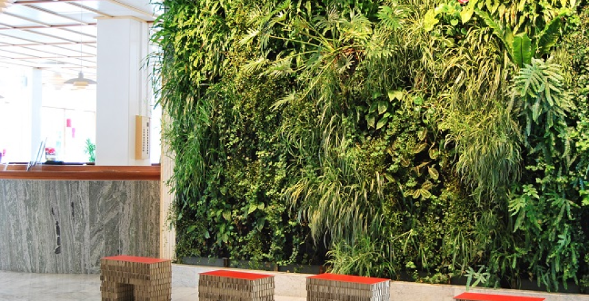 Aztec install living walls