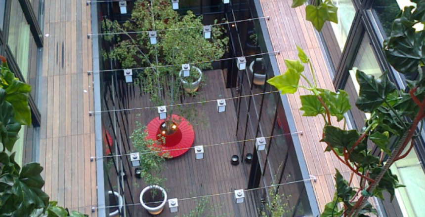 Outdoor plants