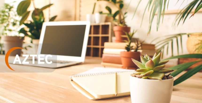 Creating a Healthy Work Environment with Indoor Plants