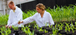 Tailored Plant Care Solutions