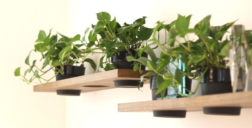 Wall planters