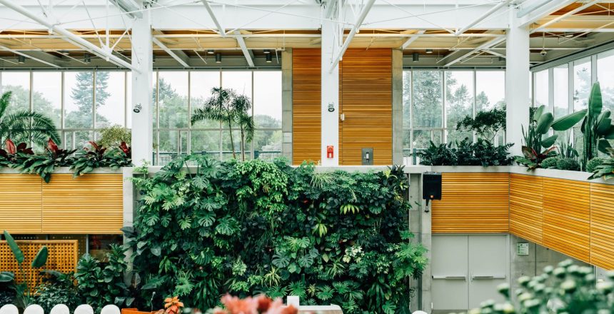 A Guide to Biophilia