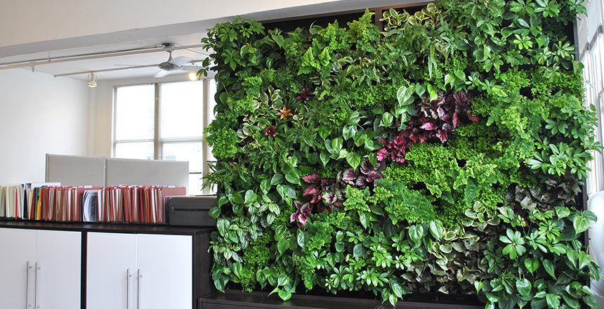 living walls by aztec plants