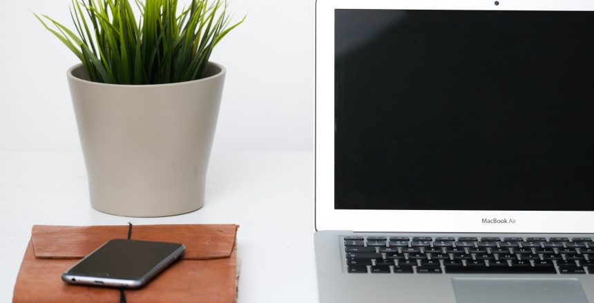 The Benefits of Indoor Plants When Working From Home