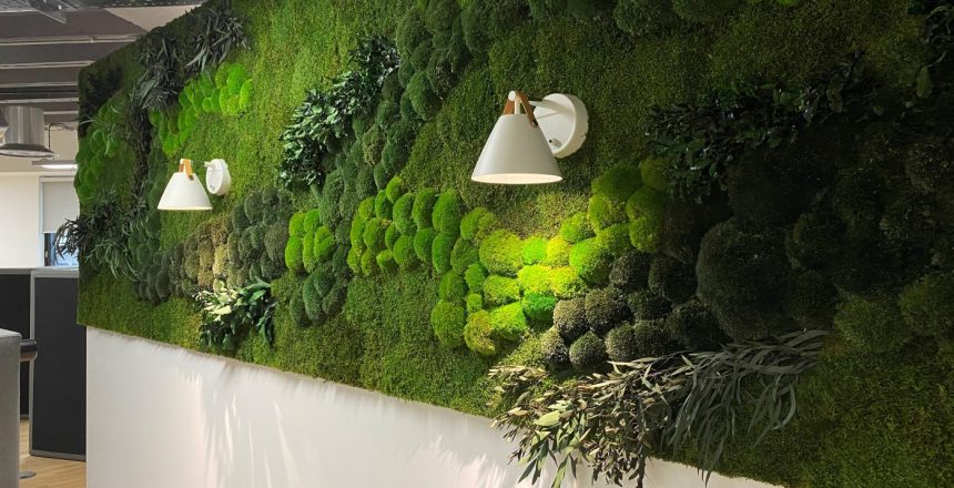 Living walls, Moss Walls, Plant Hire, Office Plants, Indoor Plants, Outdoor Plants, Foliage Rental, Real Plants, Artificial Plants, Roof Garden