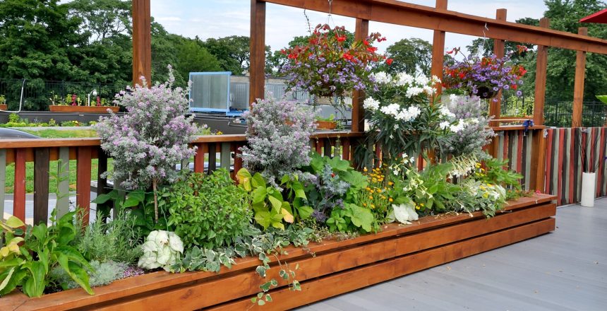 roof-gardens