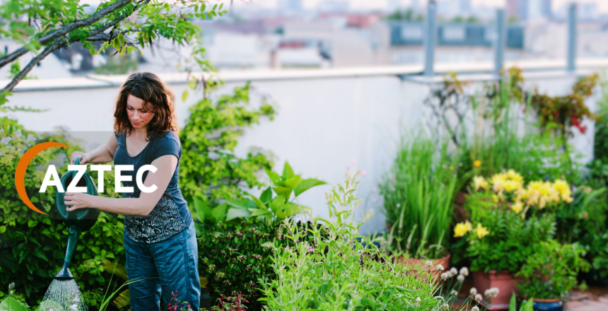 Discover Aztec Plants – Your go-to for office plant hire, maintenance, and bespoke plant solutions in the UK. Enhance your workspace today.